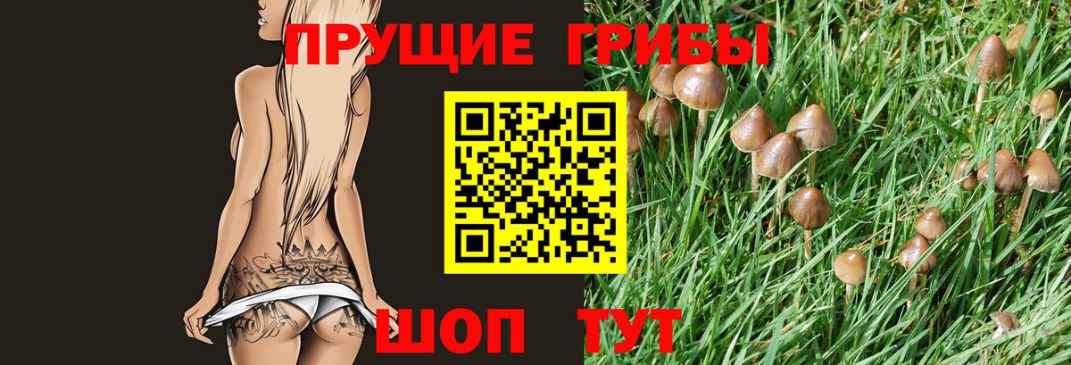 Галлюциногенные грибы Magic Shrooms Саянск